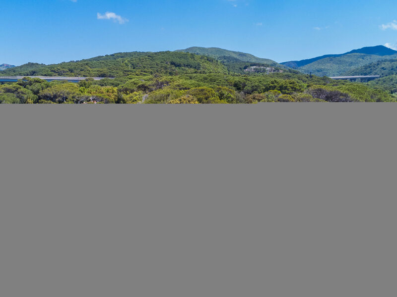Rotonda