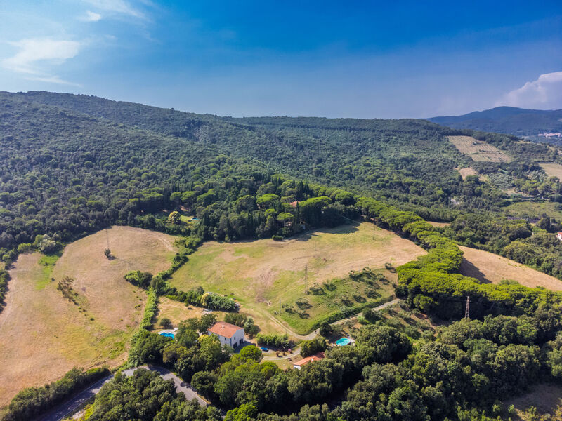 Podere La Madonnina