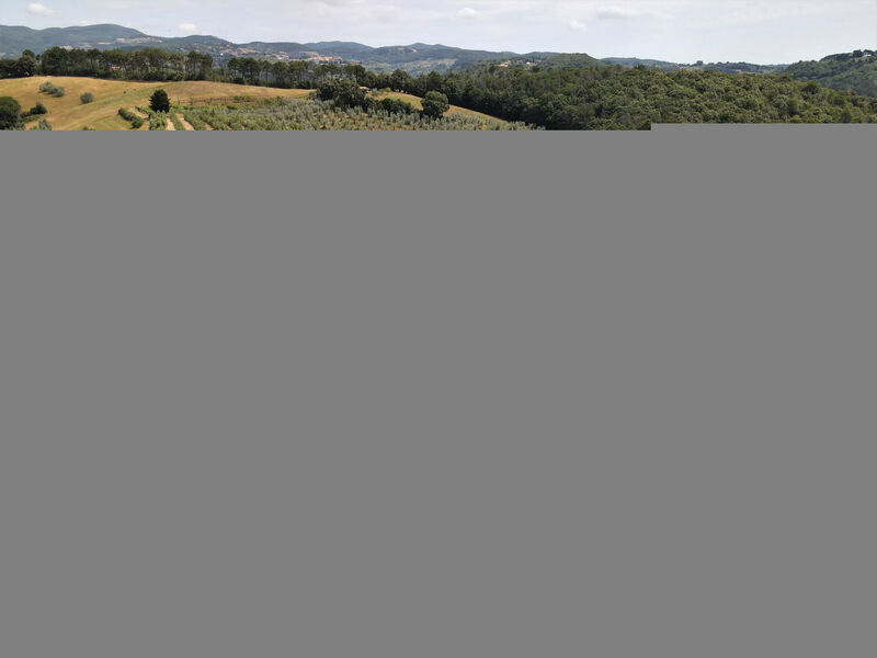 Podere la Quercia
