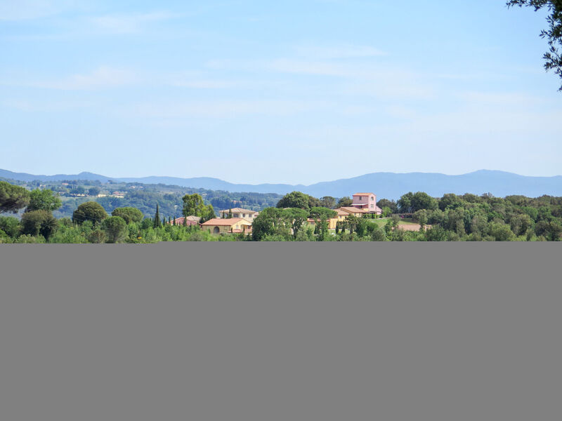 Il Felciaione