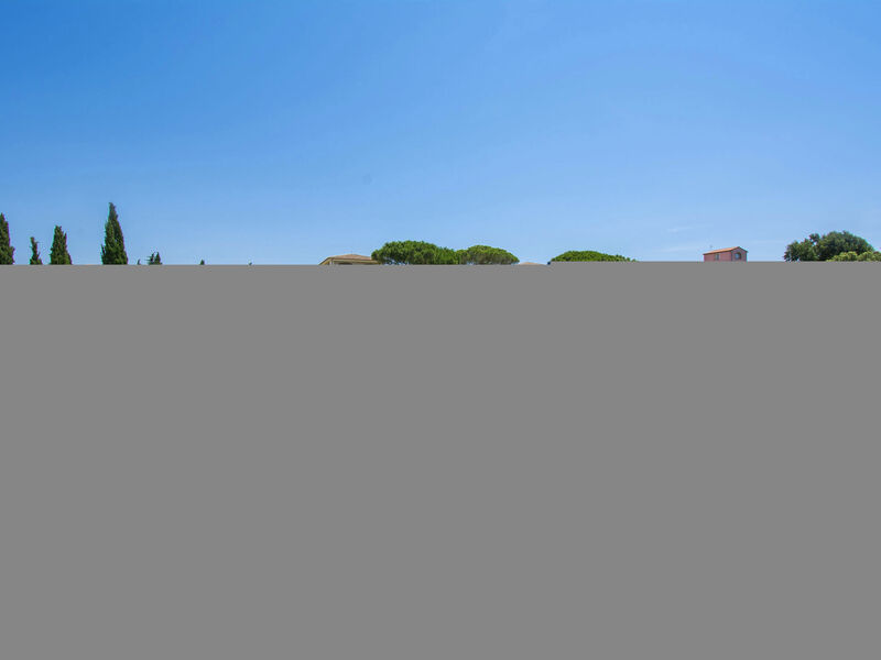 Il Felciaione