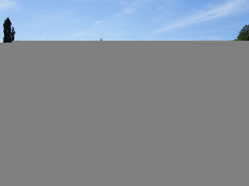 Zwischen Land und Meer