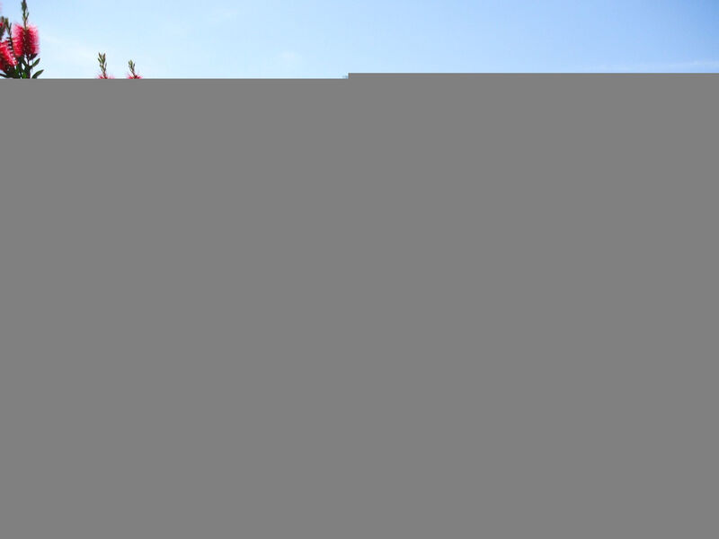 Zwischen Land und Meer