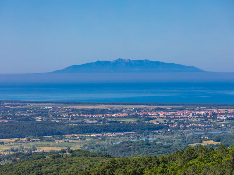 Sughera