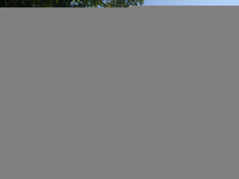 Star von Holiday World