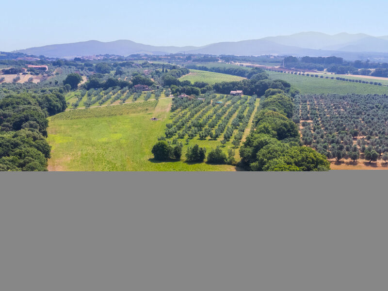 Rustico