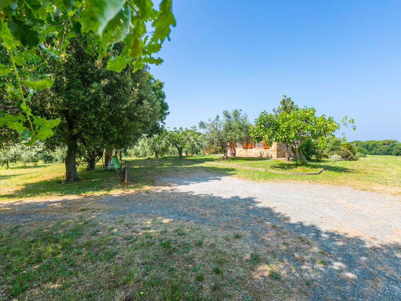 Rustico