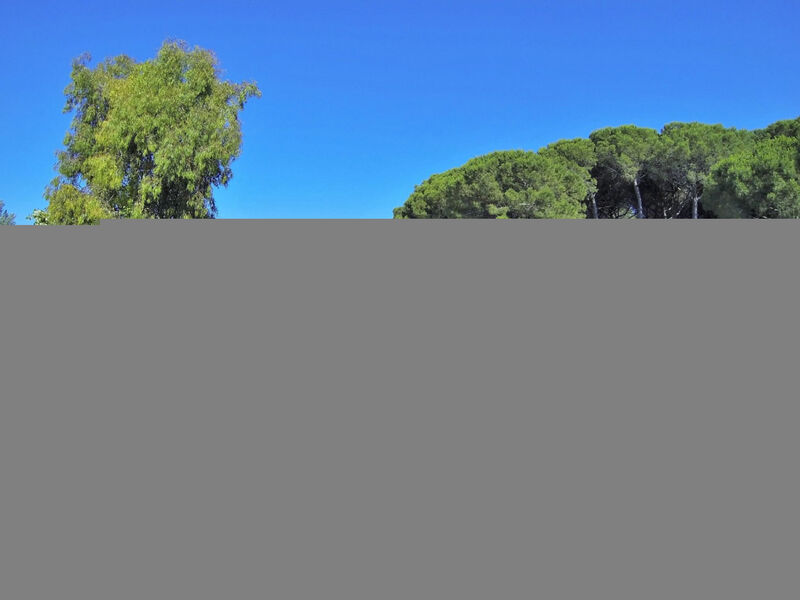 Camping Free Beach