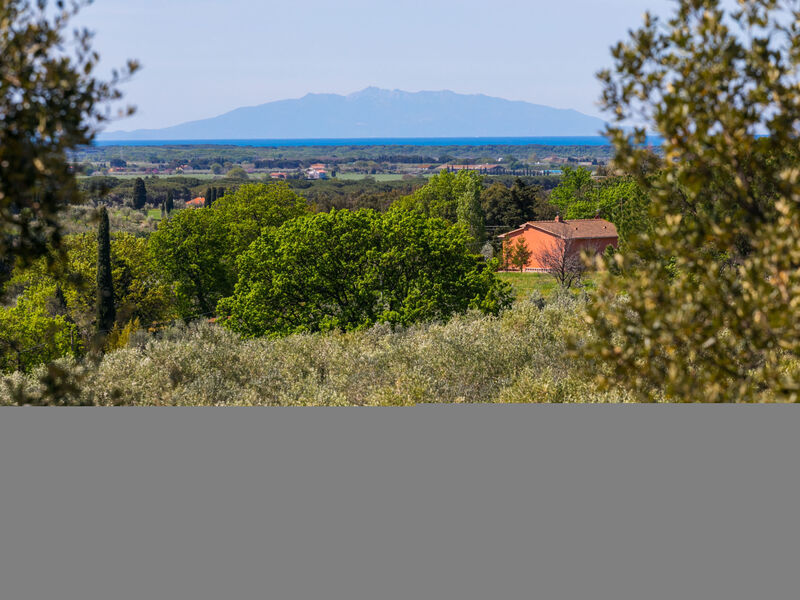 Libeccio