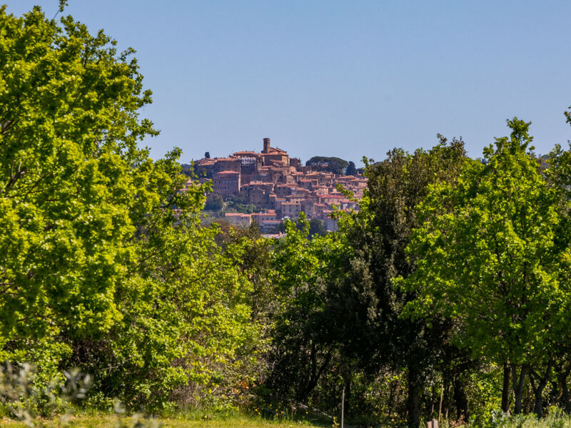 Libeccio