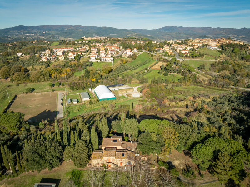 Il sogno del pittore