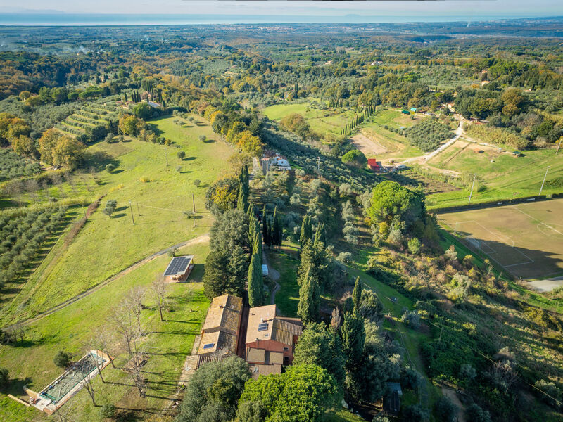 Il sogno del pittore