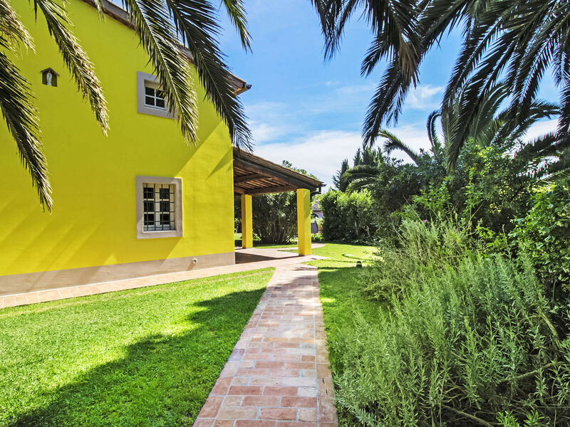 Vila il Pellicano