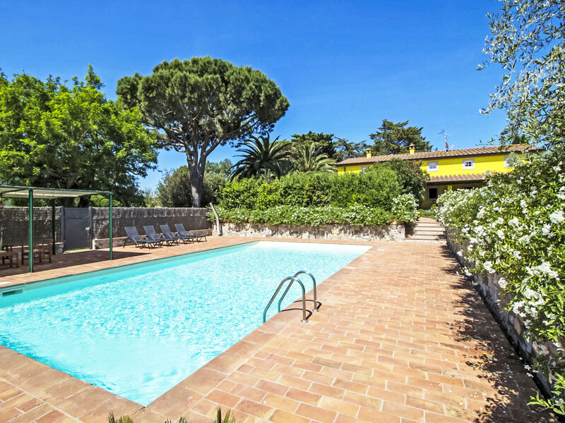 Vila il Pellicano