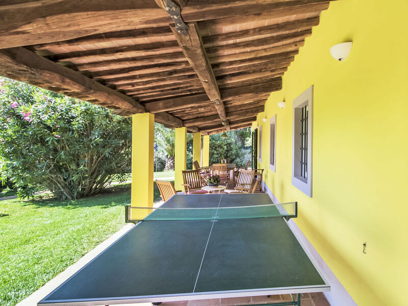 Vila il Pellicano