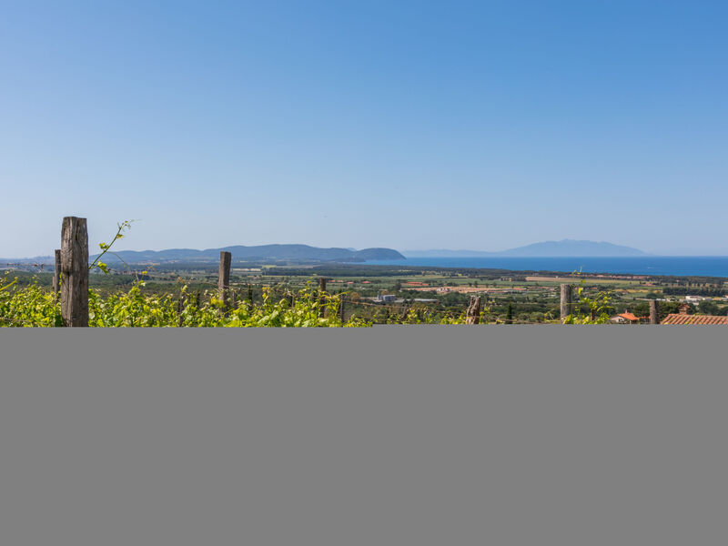 Agriturismo Il Corbezzolo