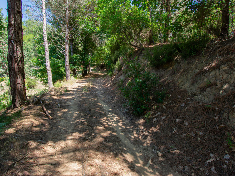 Rifugio di Igor