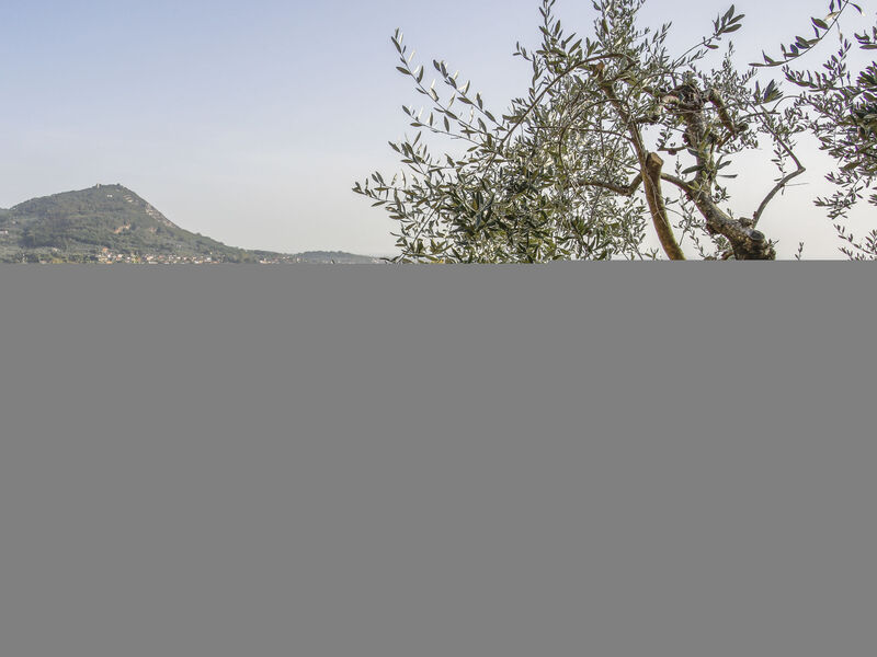 Agriturismo Borgo Della Limonaia