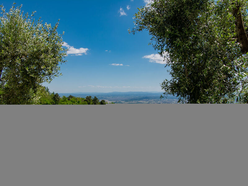 Il Paradiso