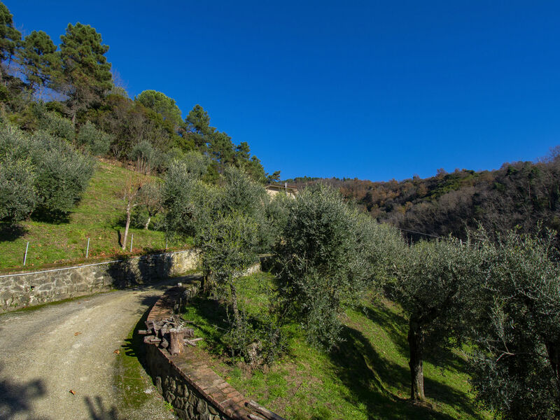 Il Paradiso