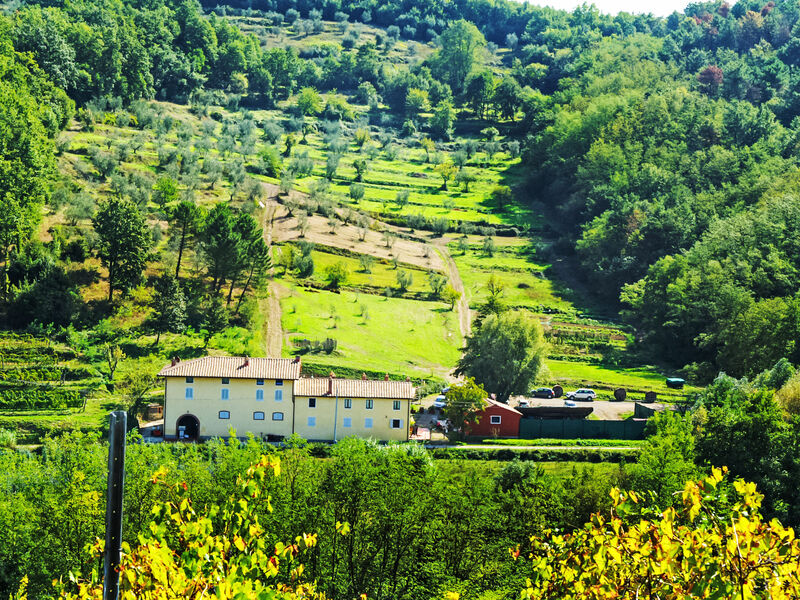 Alba
