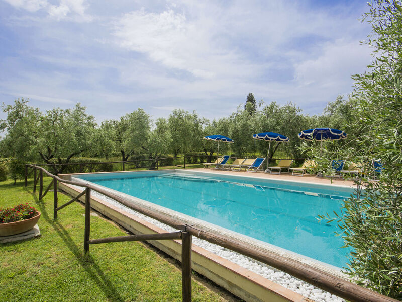 Oliveto