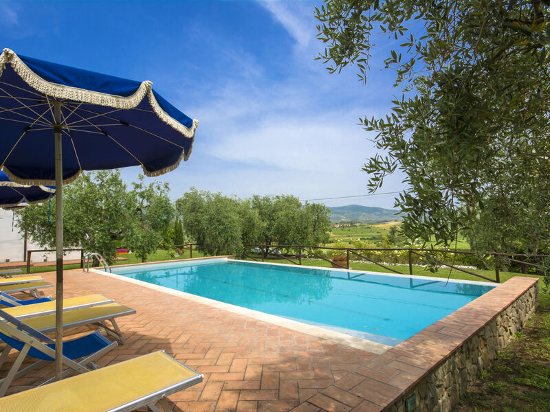 Oliveto
