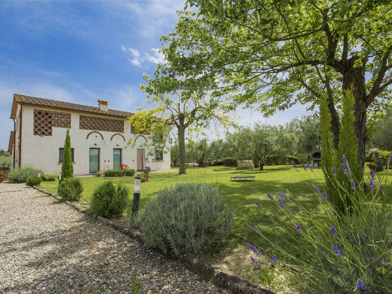Oliveto