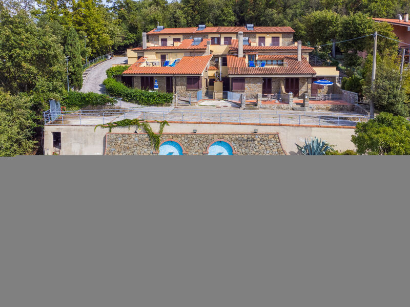 Agrifoglio