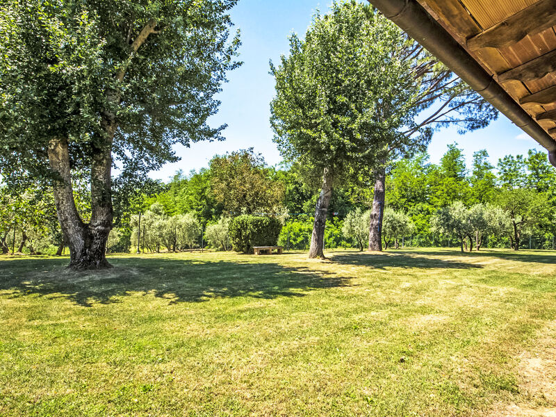 Beboli
