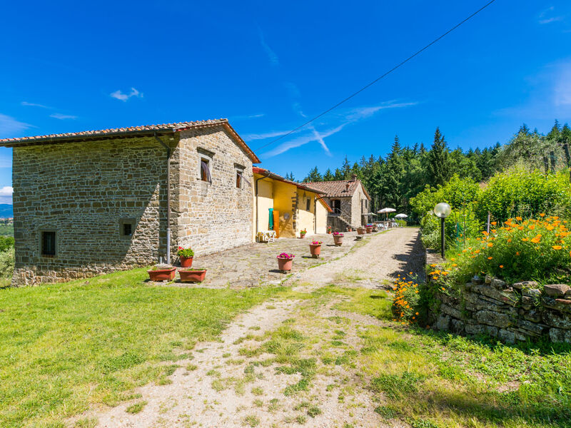 Certina 3