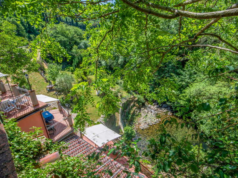 Il Mulinaccio
