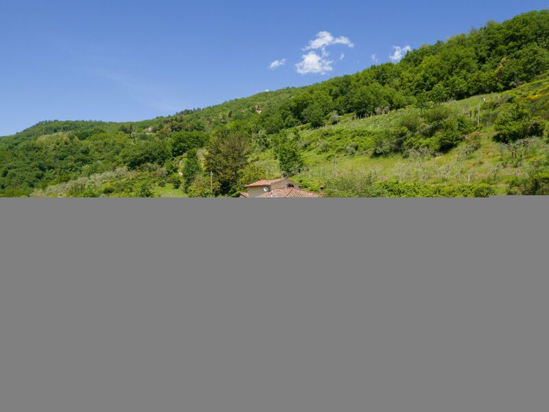 Il Castagneto