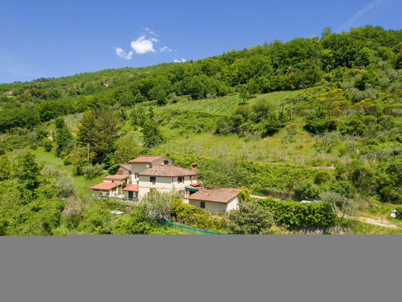 Il Castagneto