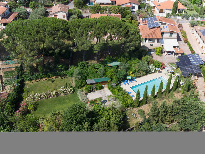 La Rosa