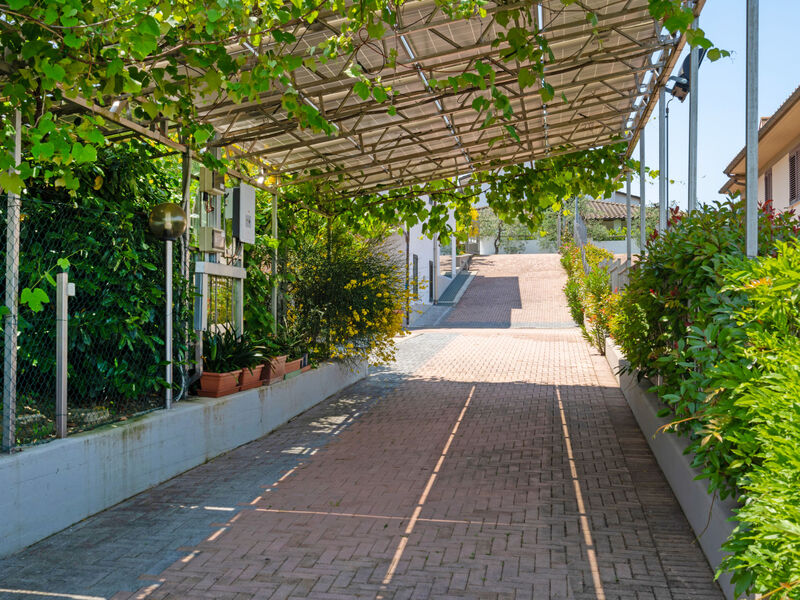 La Rosa