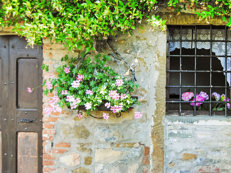 Il Lamone