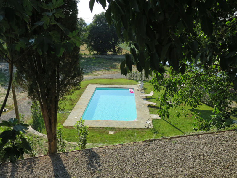 L'Orlo Del Bosco