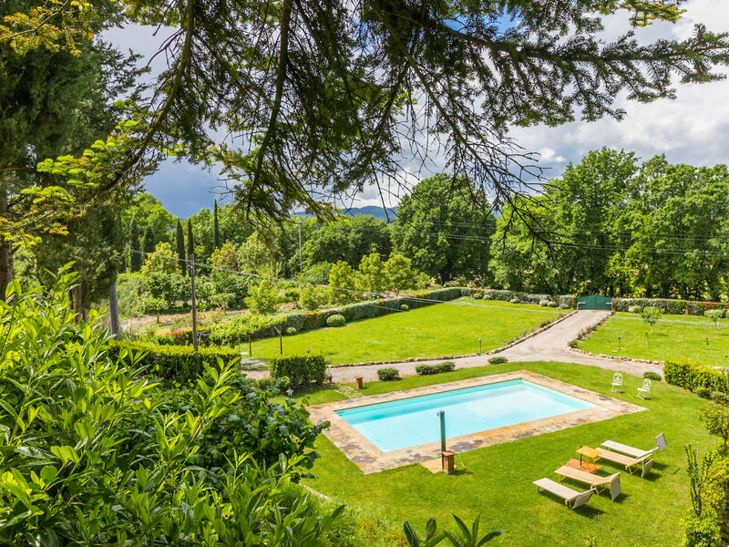 L'Orlo Del Bosco