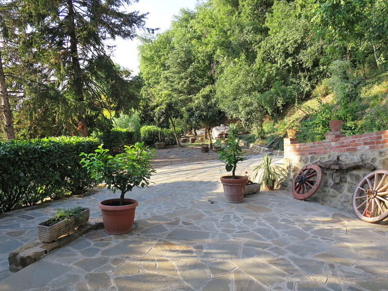 L'Orlo Del Bosco