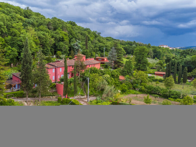 L'Orlo Del Bosco