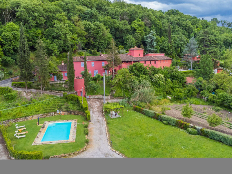 L'Orlo Del Bosco