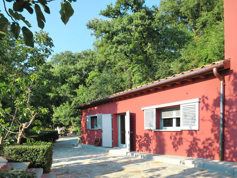 L'Orlo Del Bosco