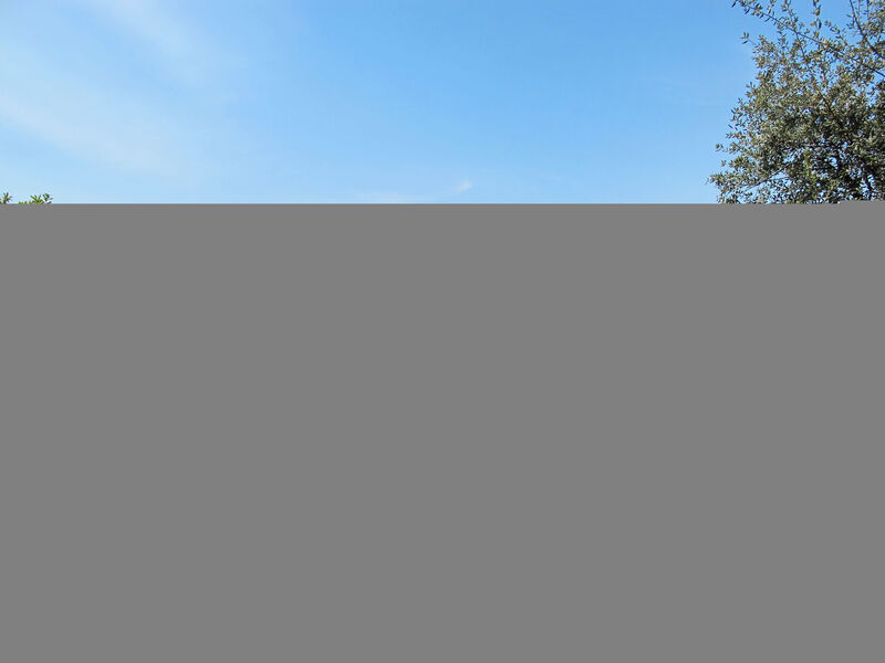 Azienda Agricola Cameli