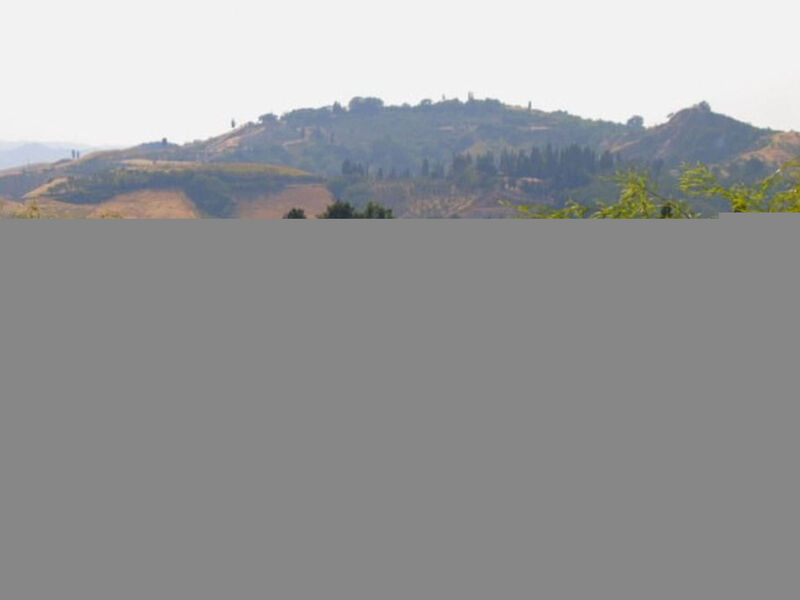 Belvedere
