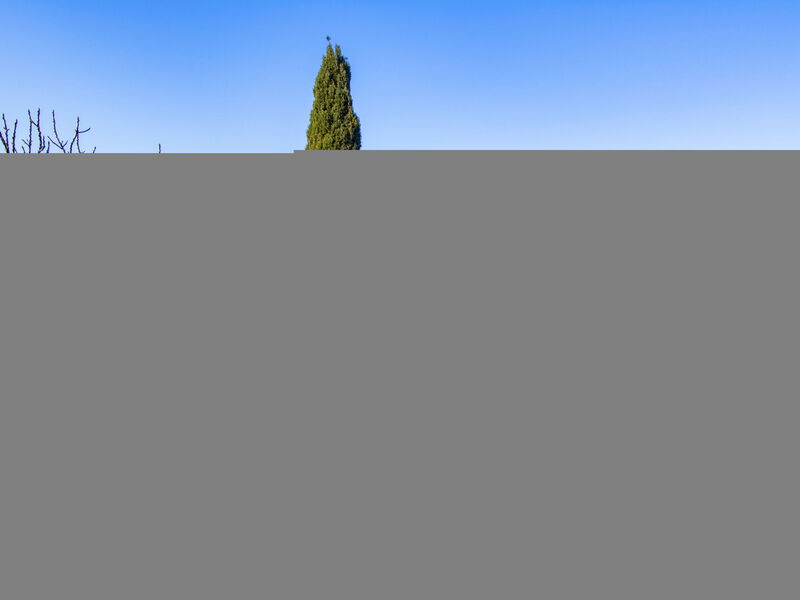 Torre Di Meo