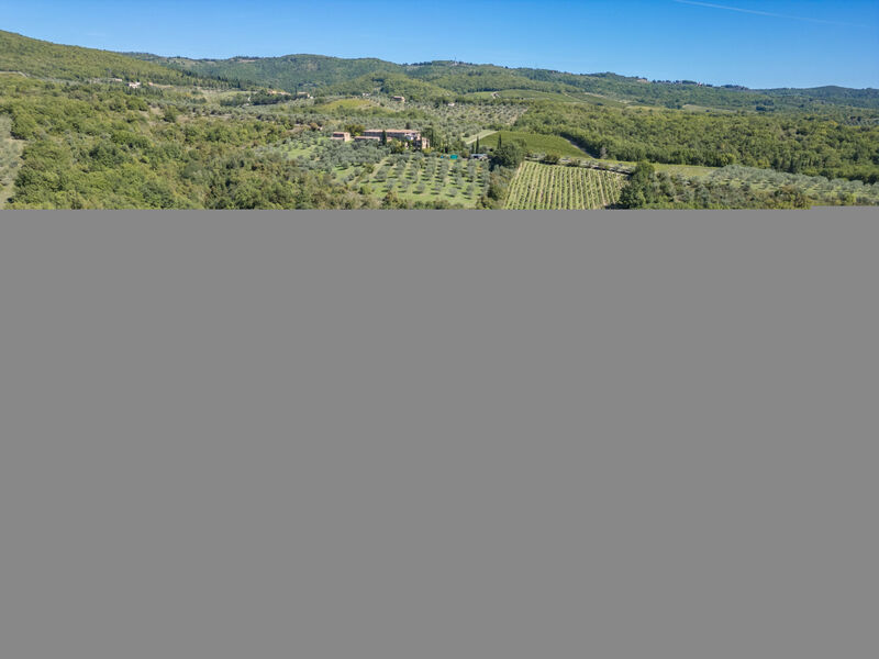 La Foresta