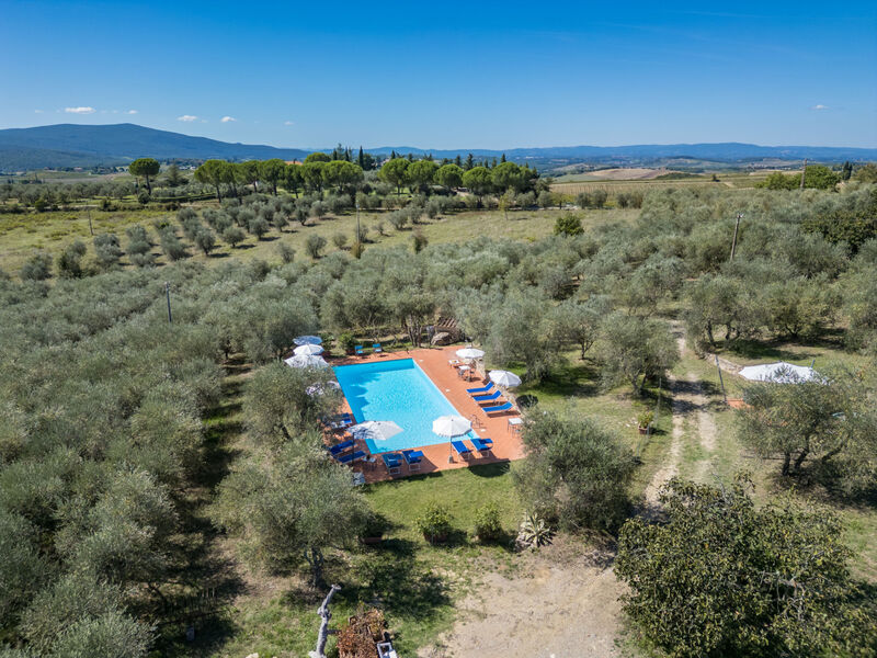 La Foresta