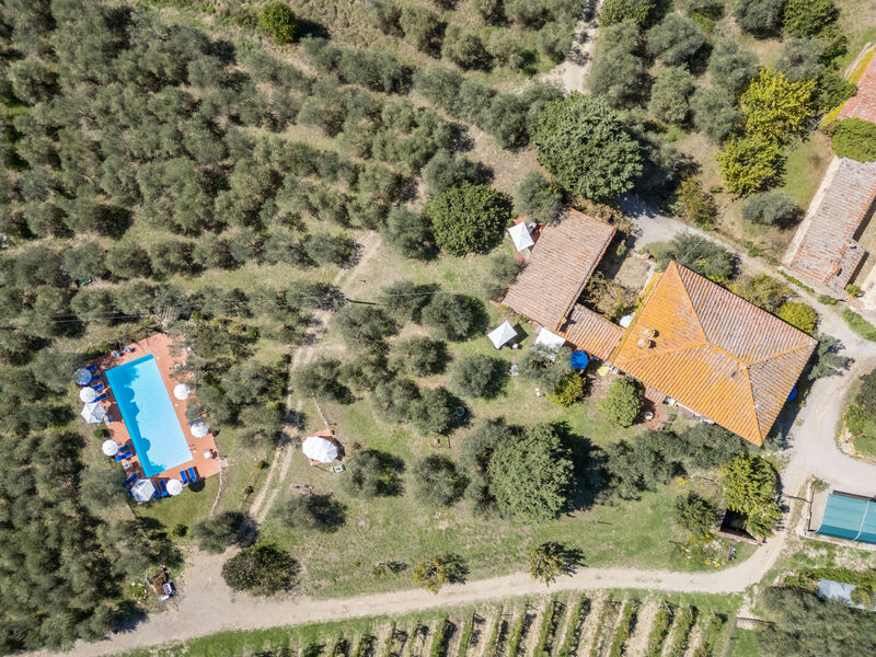 La Foresta