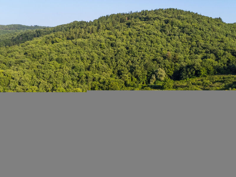Cerretino Tettoia